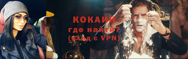 дмт Белокуриха