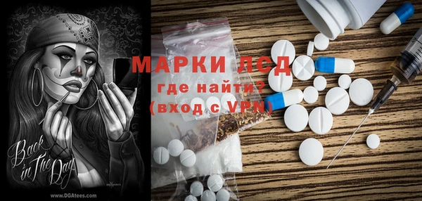 прущие грибы Беломорск