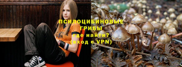дмт Белокуриха