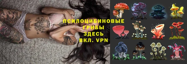 дмт Белокуриха